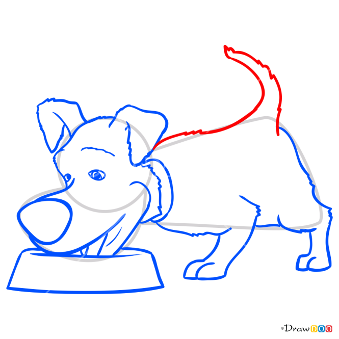 How to Draw Dog, Masha and The Bear