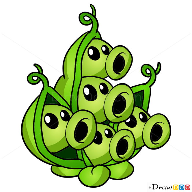 How to Draw Pae Pod, Plants vs Zombies