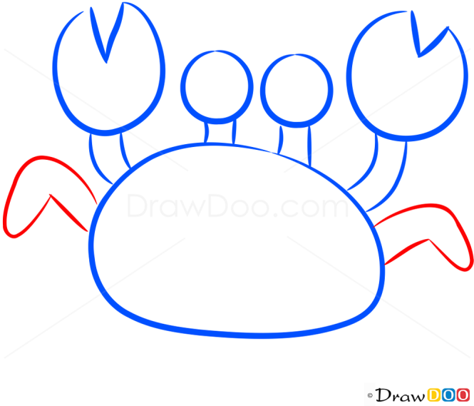 How to Draw Small Crab, Sea Animals
