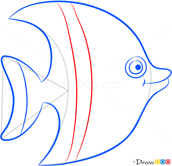 How to Draw Striped Fish, Sea Animals