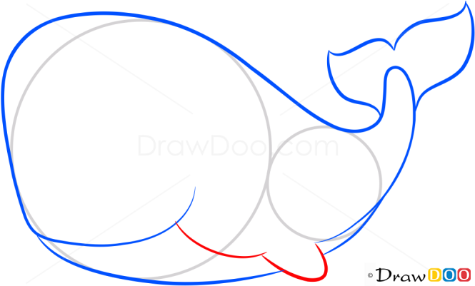 How to Draw Little Whale, Sea Animals