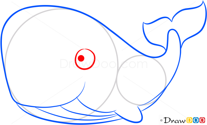 How to Draw Little Whale, Sea Animals