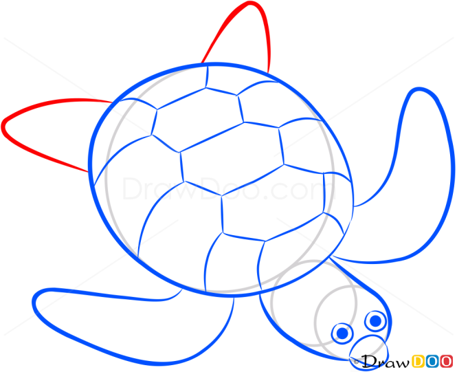 How to Draw See Turtle, Sea Animals