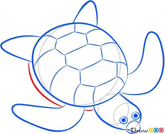 How to Draw See Turtle, Sea Animals