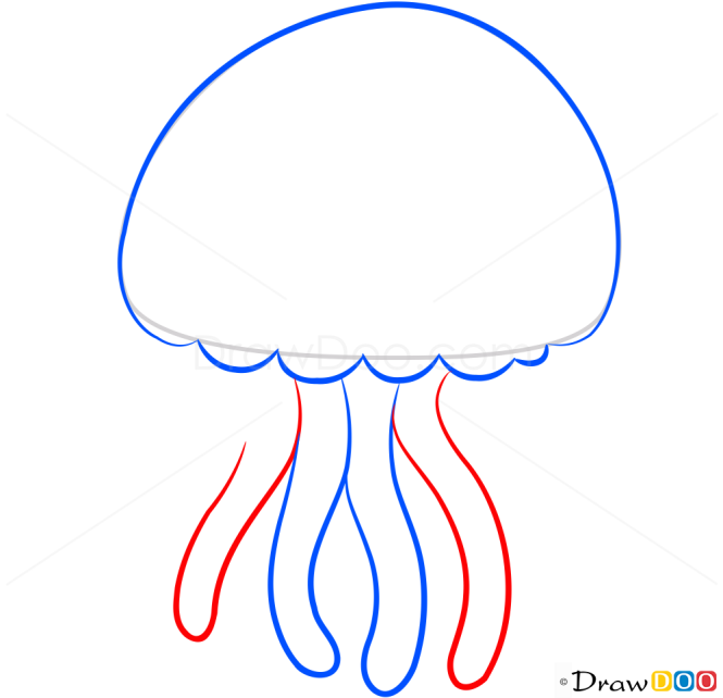 How to Draw Pink Octopus, Sea Animals