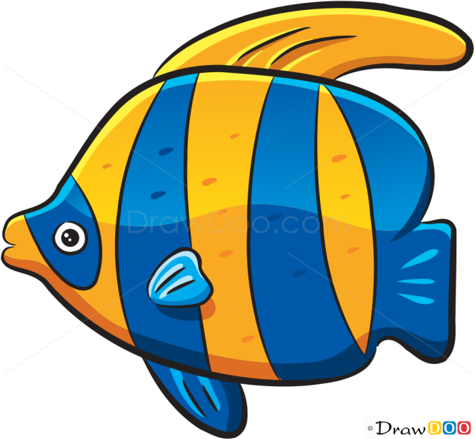 How to Draw Color Fish, Sea Animals