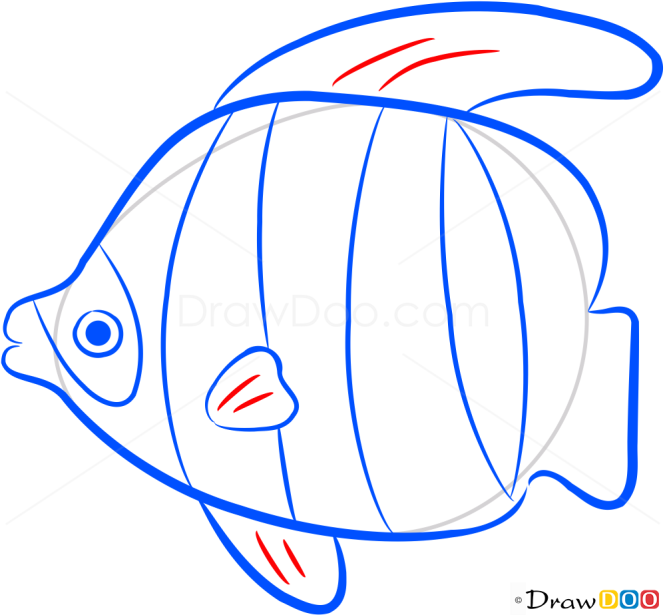 How to Draw Color Fish, Sea Animals