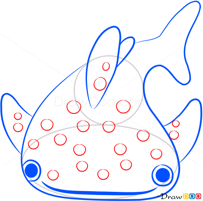 How to Draw Tiger Shark, Sea Animals