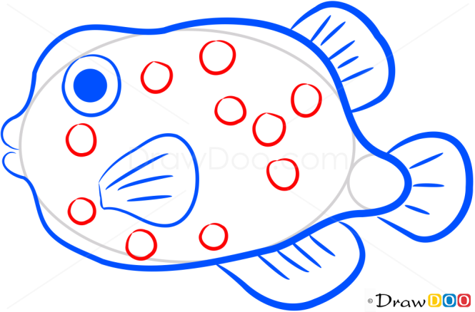 How to Draw Funny Fish, Sea Animals