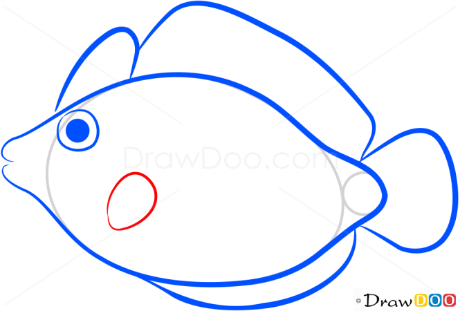 How to Draw Pink Fish, Sea Animals