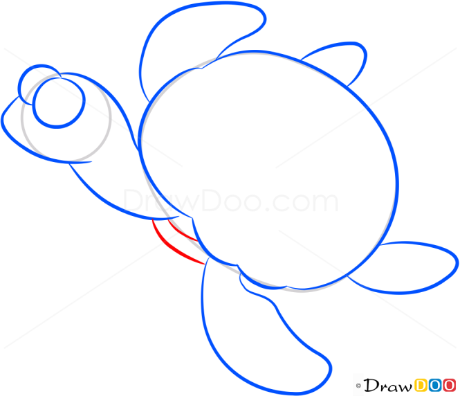 How to Draw Little Turtle, Sea Animals