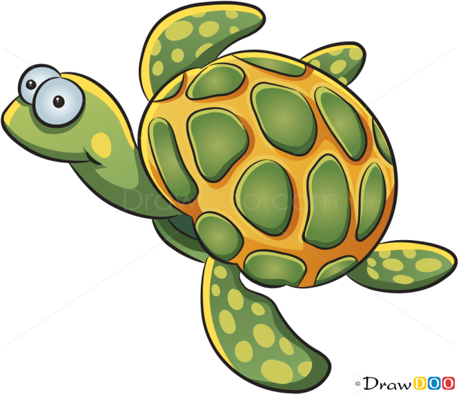 How to Draw Little Turtle, Sea Animals
