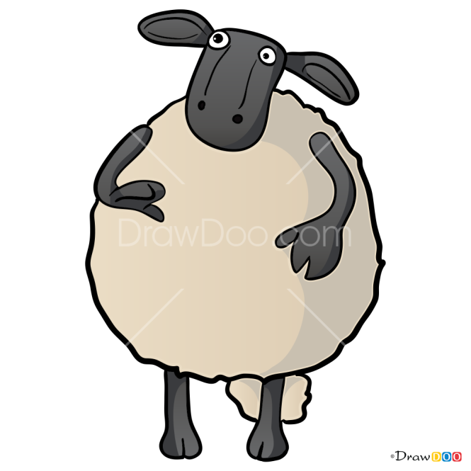 How to Draw Nuts, Shaun the Sheep