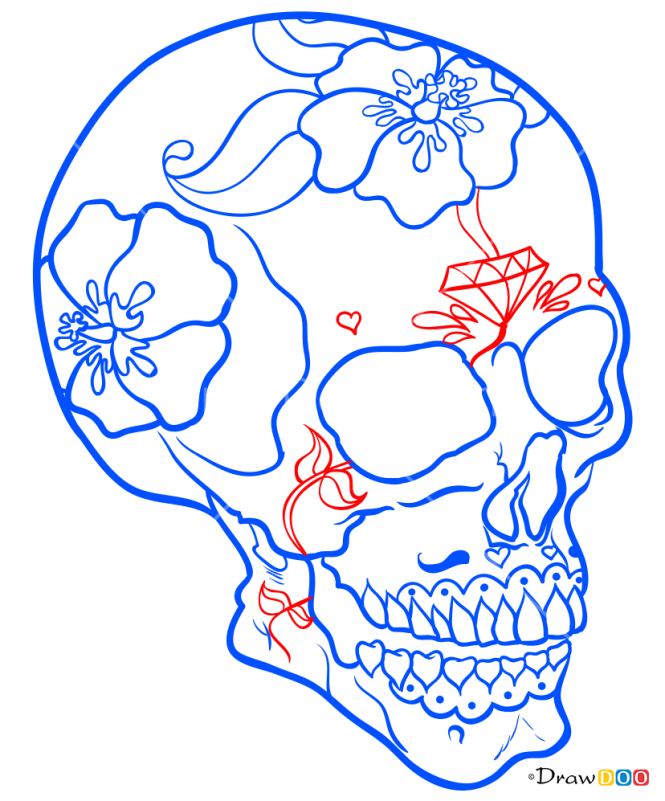How to Draw Mexico Skull, Skeletons