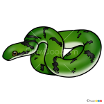 How to Draw Green Snake, Snakes