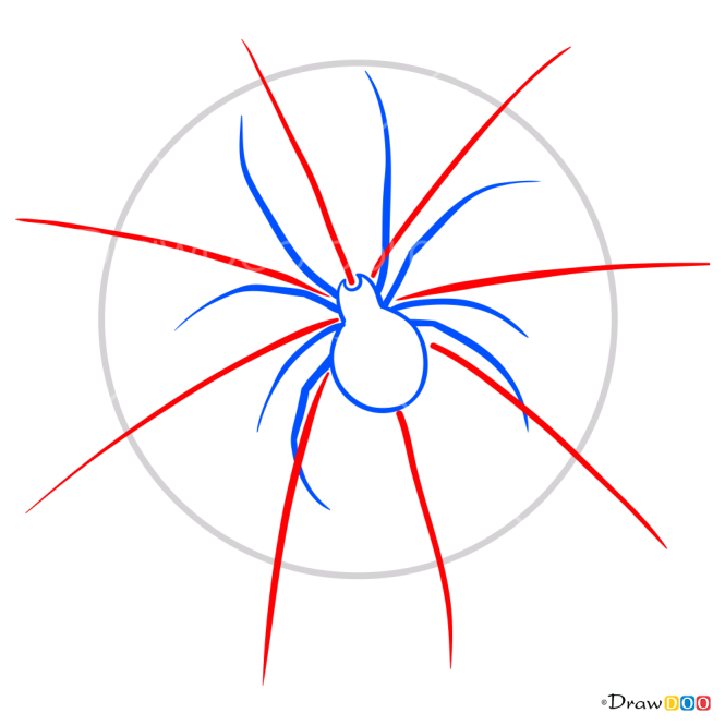 How to Draw Spider in the Web, Tattoo Criminal