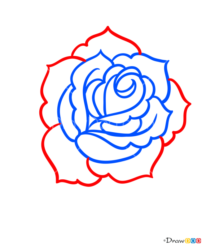 How to Draw Rose, Tattoo Old School