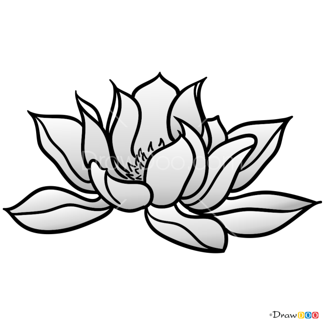 How to Draw Lotus, Tattoo Flowers