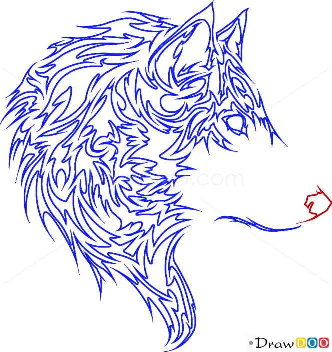 How to Draw Wolf, Tribal Tattoos