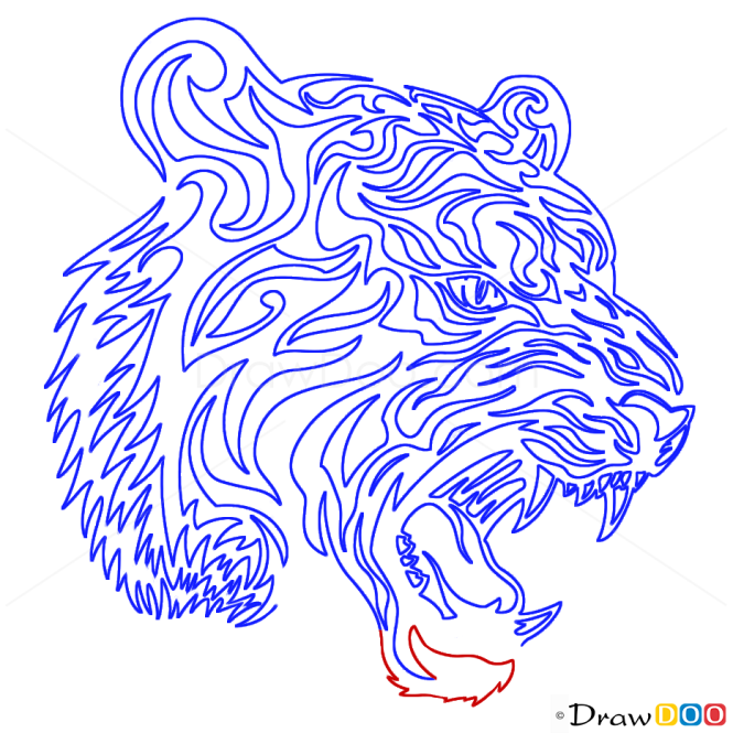 How to Draw Growling Tiger, Tribal Tattoos