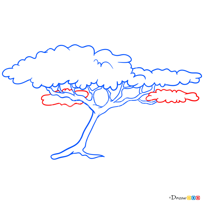 How to Draw Acacia, Trees