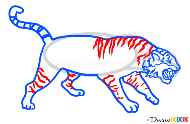 How to Draw Tiger, Wild Animals