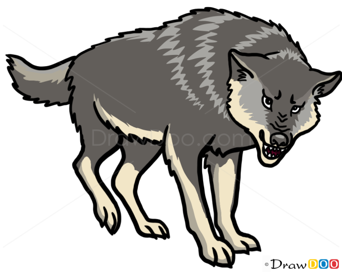 Wolf Drawings, Wild Animals, Step by Step Drawing