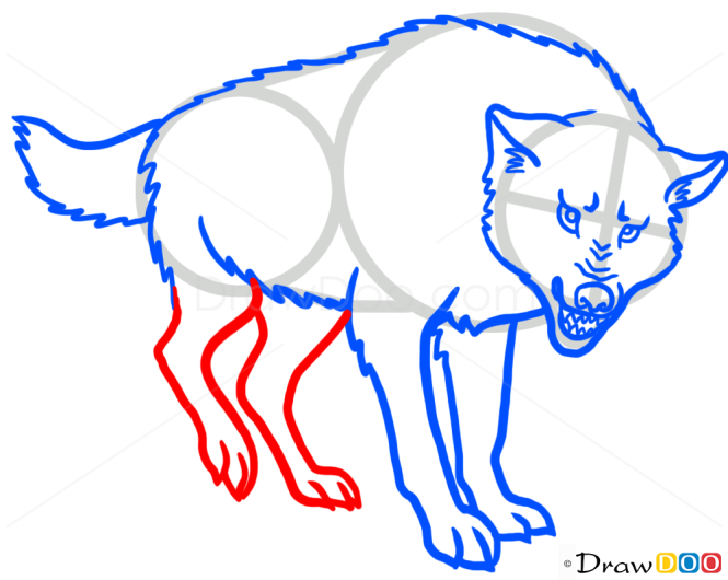 Wolf Drawings, Wild Animals, Step by Step Drawing