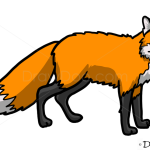 How to Draw Fox, Wild Animals