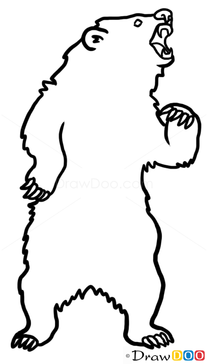 How to Draw Bear, Wild Animals