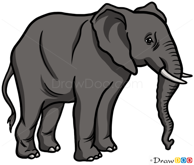 How to Draw Elephant, Wild Animals
