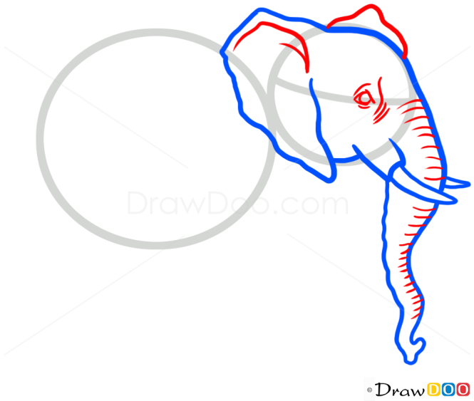 How to Draw Elephant, Wild Animals