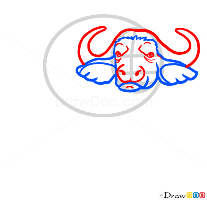 How to Draw Buffalo, Wild Animals