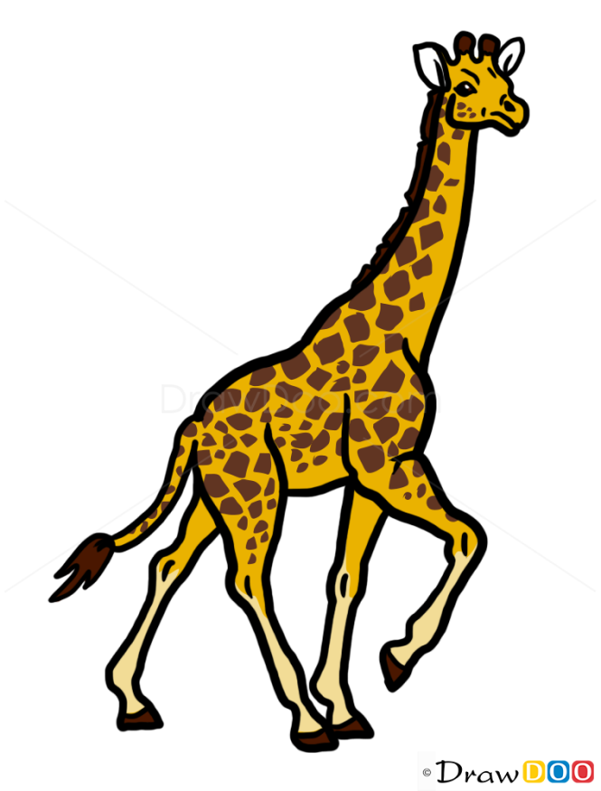 How to Draw Giraffe, Wild Animals
