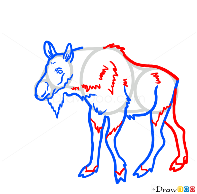 How to Draw Moose, Wild Animals