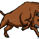 How to Draw Bison, Wild Animals
