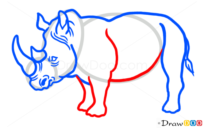 How to Draw Rhinoceros, Wild Animals