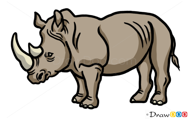 How to Draw Rhinoceros, Wild Animals