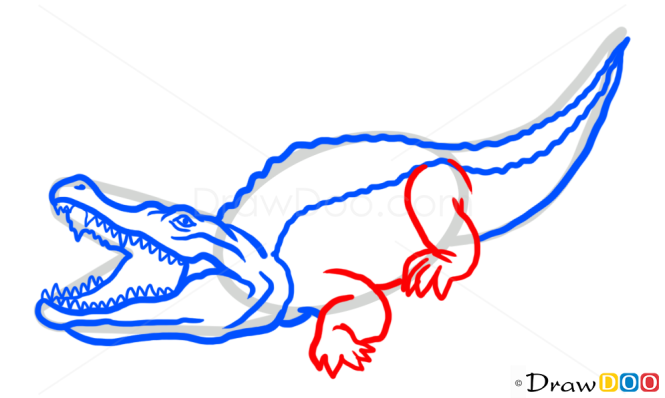 How to Draw Crocodile, Wild Animals