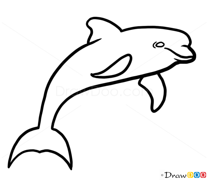 How to Draw Dolphin, Wild Animals