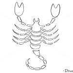 How to Draw Scorpio, Scorpion, Zodiac Signs