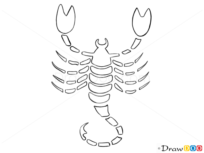 How to Draw Scorpio, Scorpion, Zodiac Signs