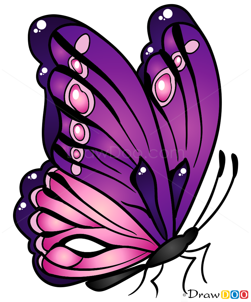 How To Draw Amazing Butterfly Butterflies