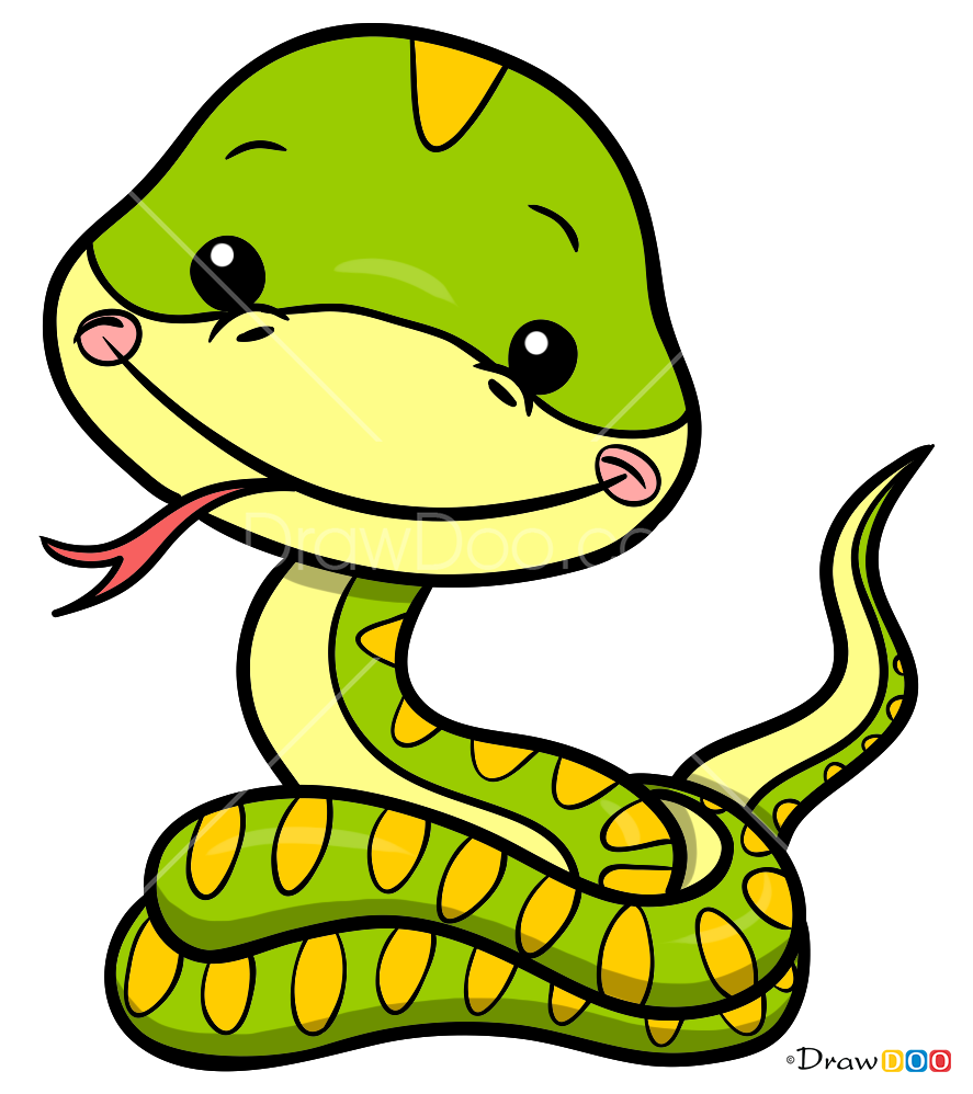 How To Draw A Cartoon Snake Snake Drawing Easy Drawings Drawing